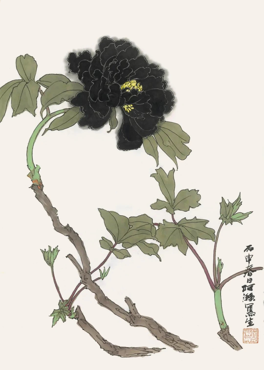淡雅之境!广州画院郑阿湃花鸟画选读