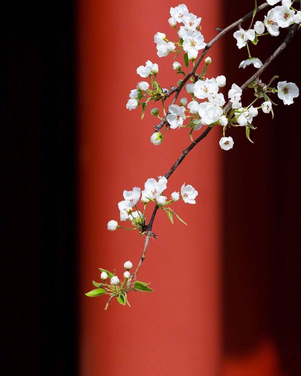 南书房,是清代皇帝文学侍从值班之所.