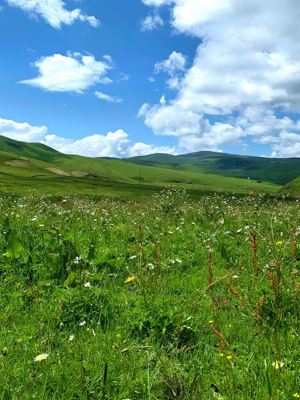 昨天就被惊艳到了 川西的夏天虽然到处都是美景 但我真的对塔公草原无