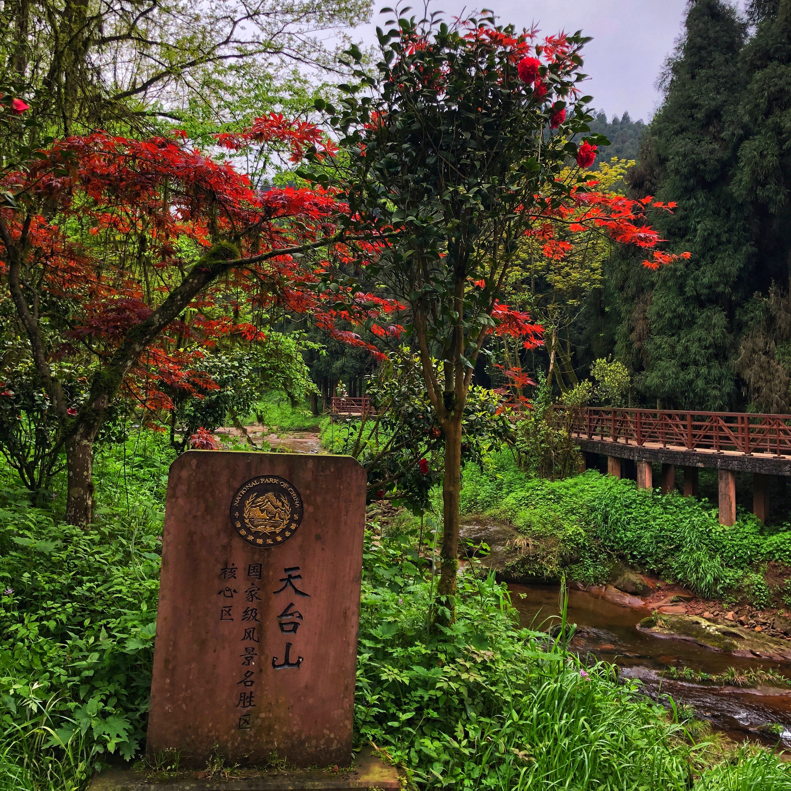成都一4a级景区被吐槽,为四川大熊猫栖息地,网友:门票不值54元