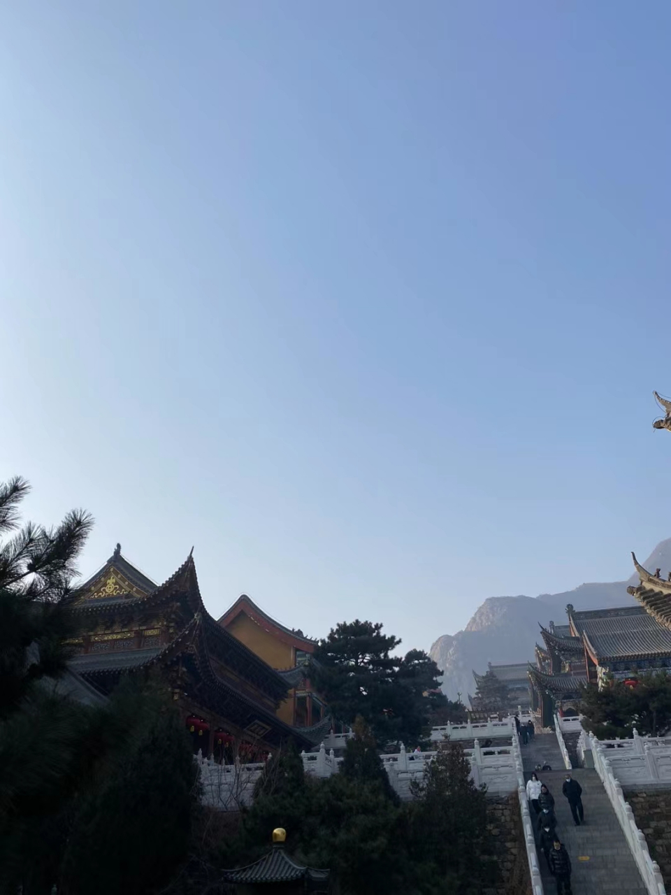 新年快乐 兔年大吉大利 日子红红火火 工作顺利 步步高升 最重要的是