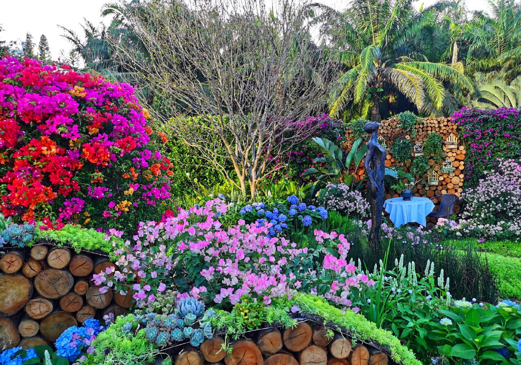 观看了第25届簕杜鹃花展,各种花的造型还是美轮美奂,给人美的享受哈.