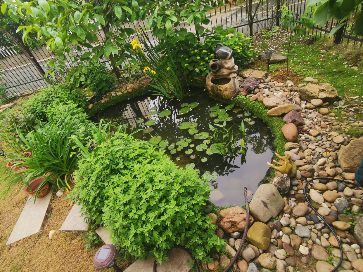 自己动手diy,打造生态小鱼塘!