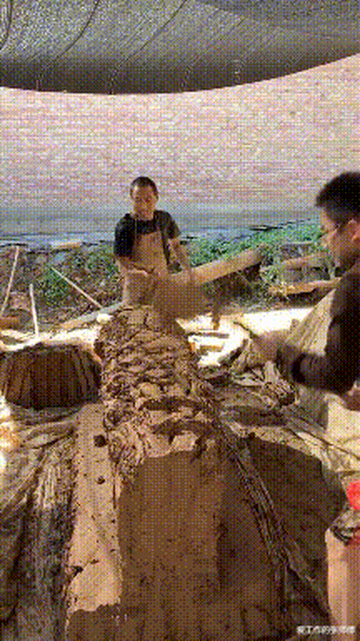 这难道就是传说中的拆了西墙补东墙#gif创作人