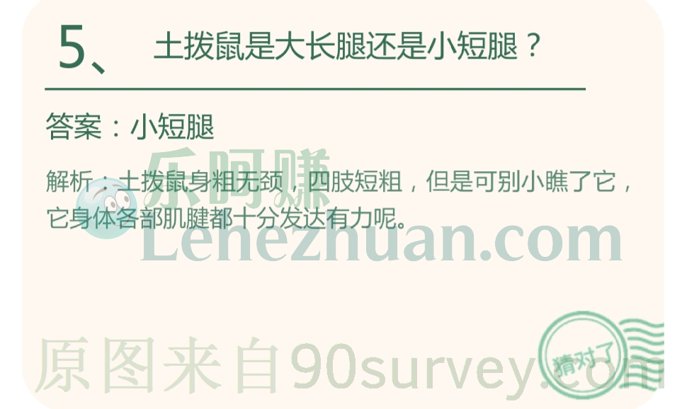 土拨鼠是大长腿还是小短腿?答案:小短腿 土拨鼠是大长腿还是小短腿?答案:小短腿