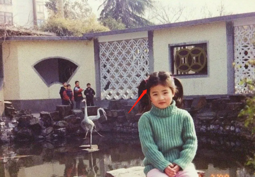 鞠婧祎同款?白鹿被质疑画发际线,其实是她的胎毛