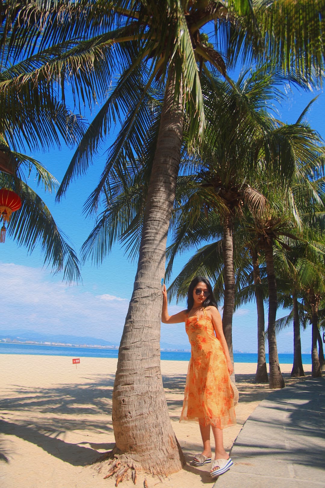 碧海椰子园
