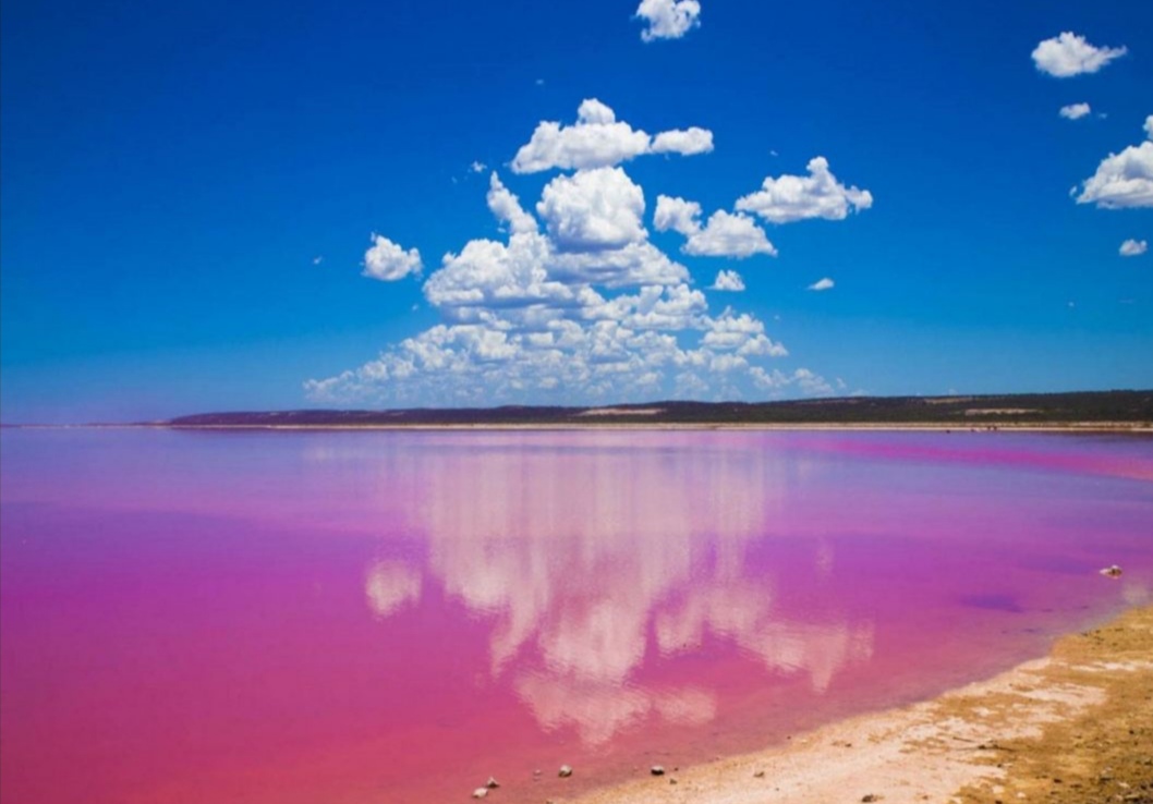 粉色湖–希利尔湖