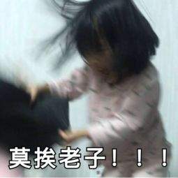 猫谈恋爱莫挨老子的图片 莫挨老子表情包_gif之家