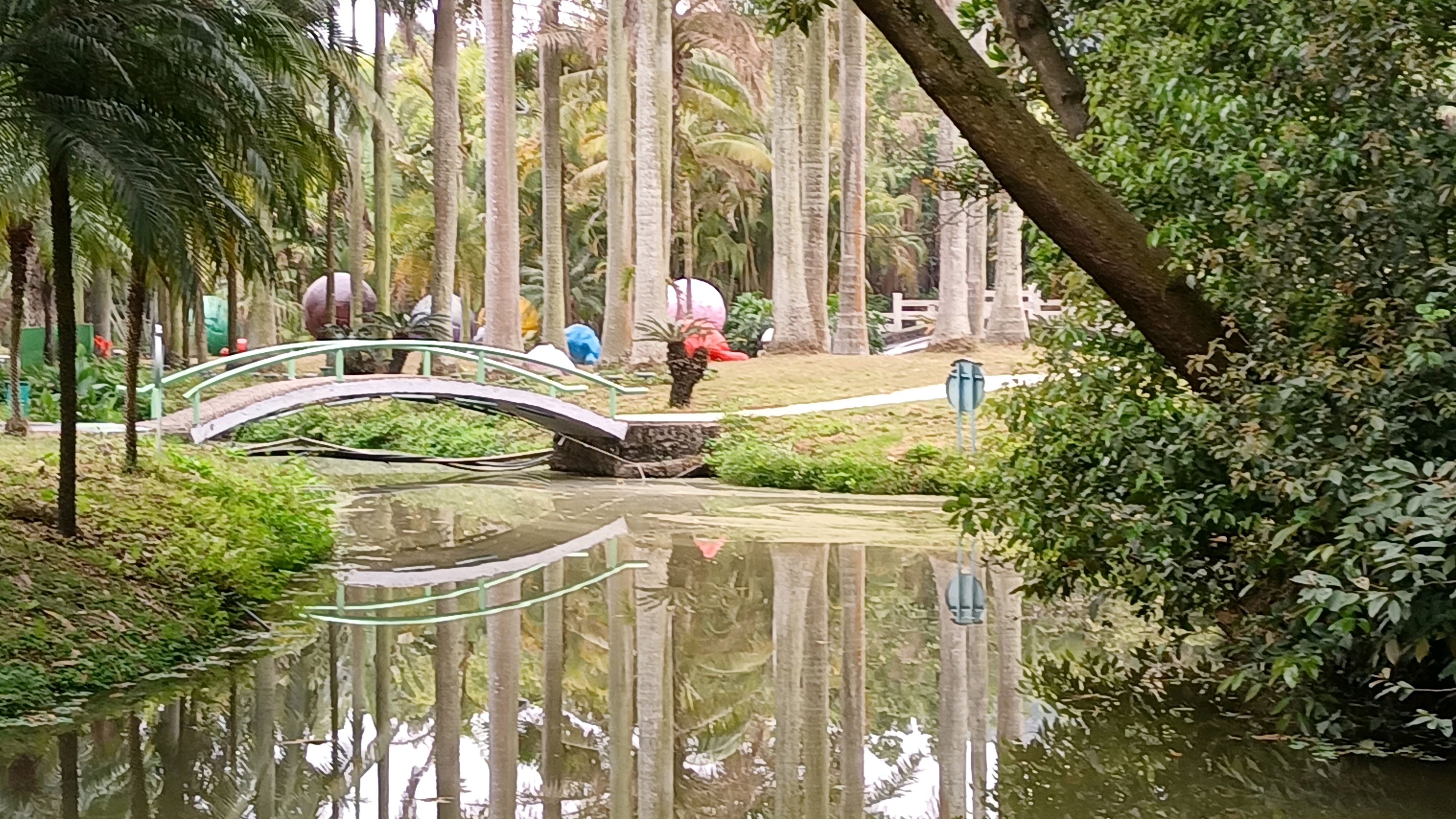 漳州东南花都花博园,这里百花盛开春滿园