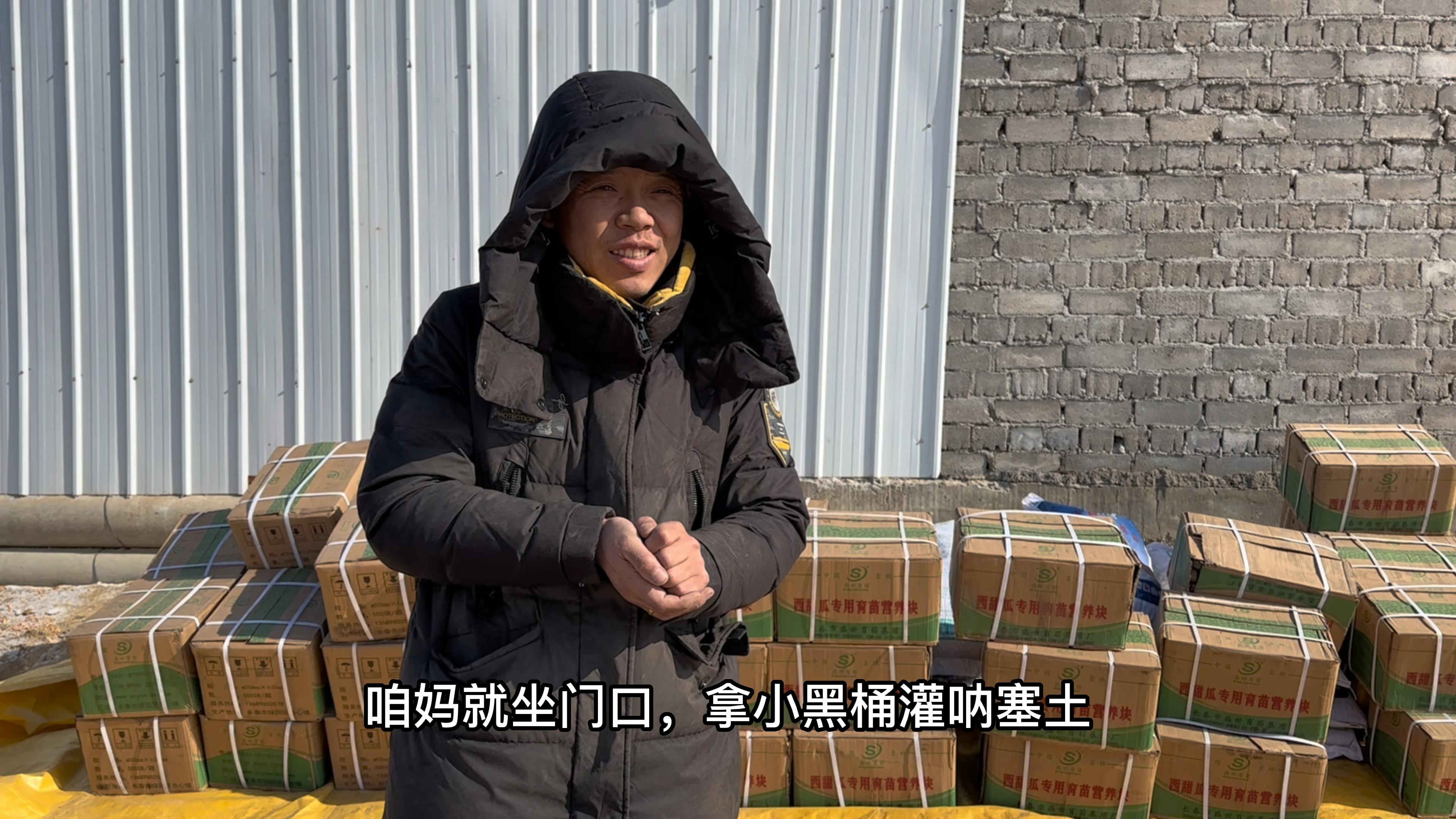 东北农村春耕即将开始,菜籽育苗土已到位,一宁和爸妈计划扣大棚