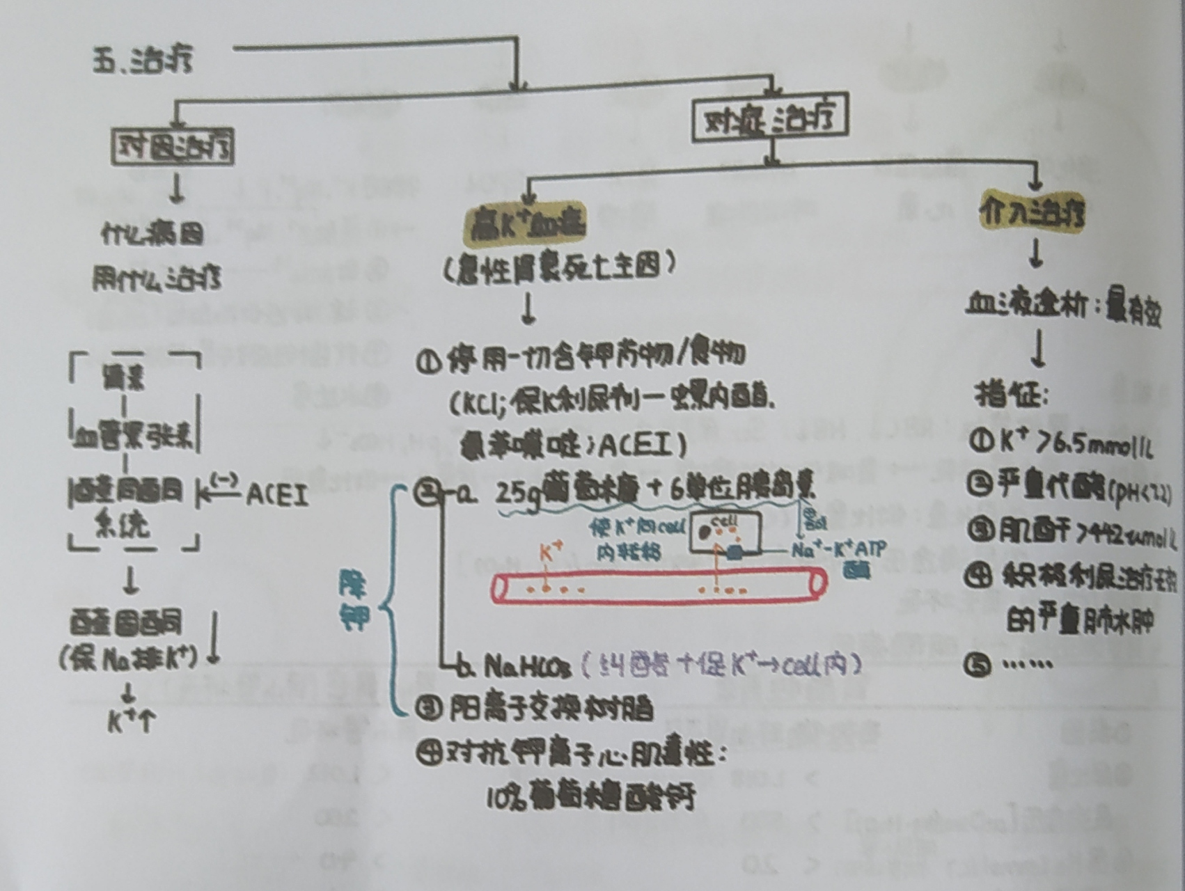 水肿的思维导图图片