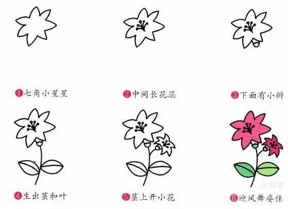 儿童学习简笔画-画星星花的6个步骤,爱心阳光少年网
