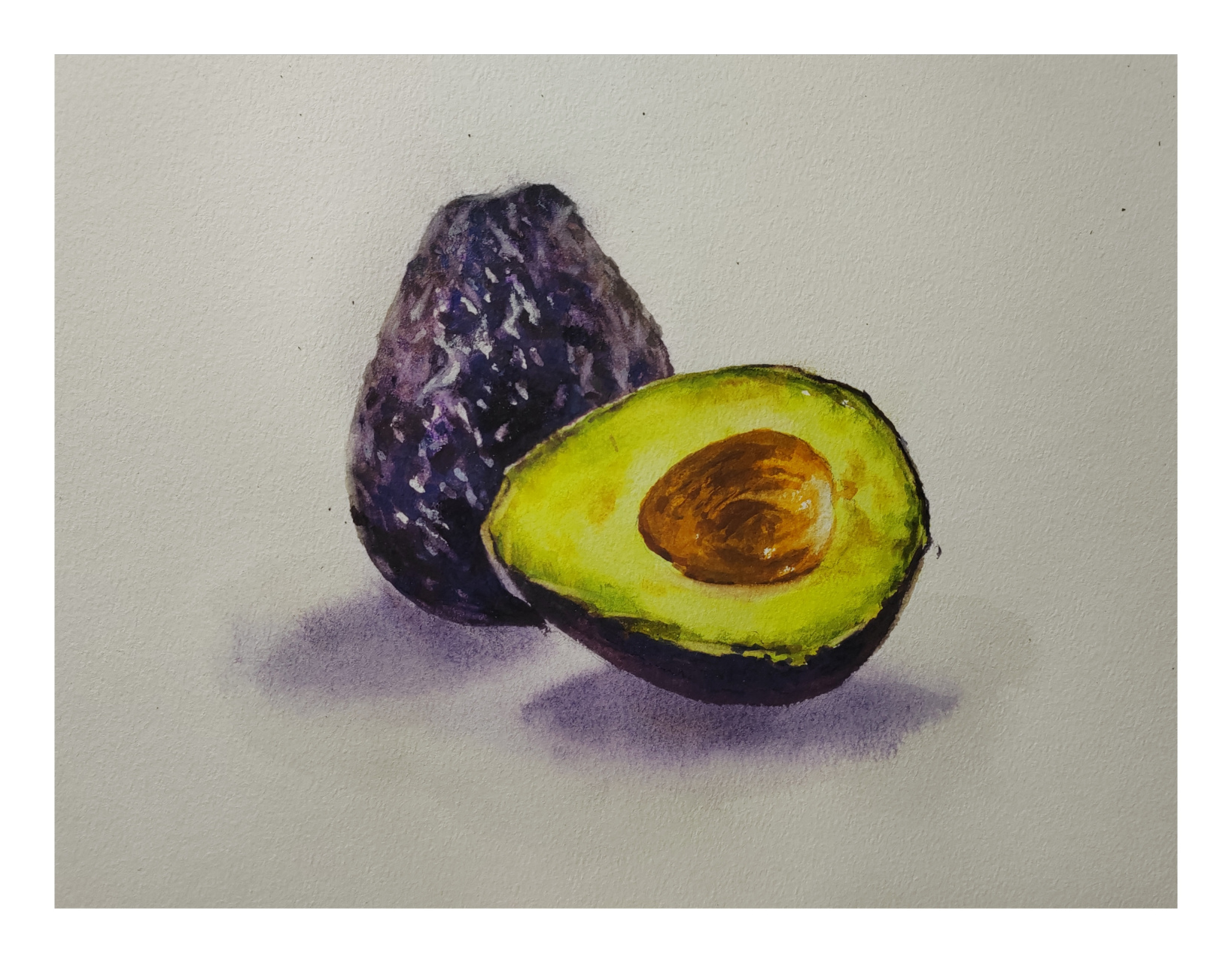 水彩100-05牛油果