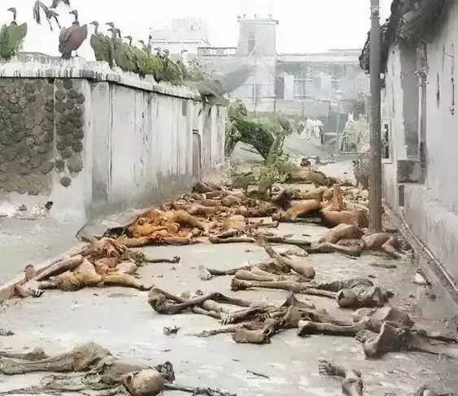 是现实中1943年孟加拉大饥荒的街头,随意丢弃的尸骸,饿殍遍地,墙头上