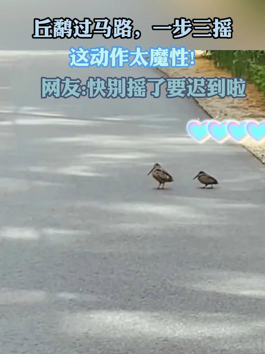 一步三摇的意思解释生肖(一步三摇的意思解释生肖是什么)