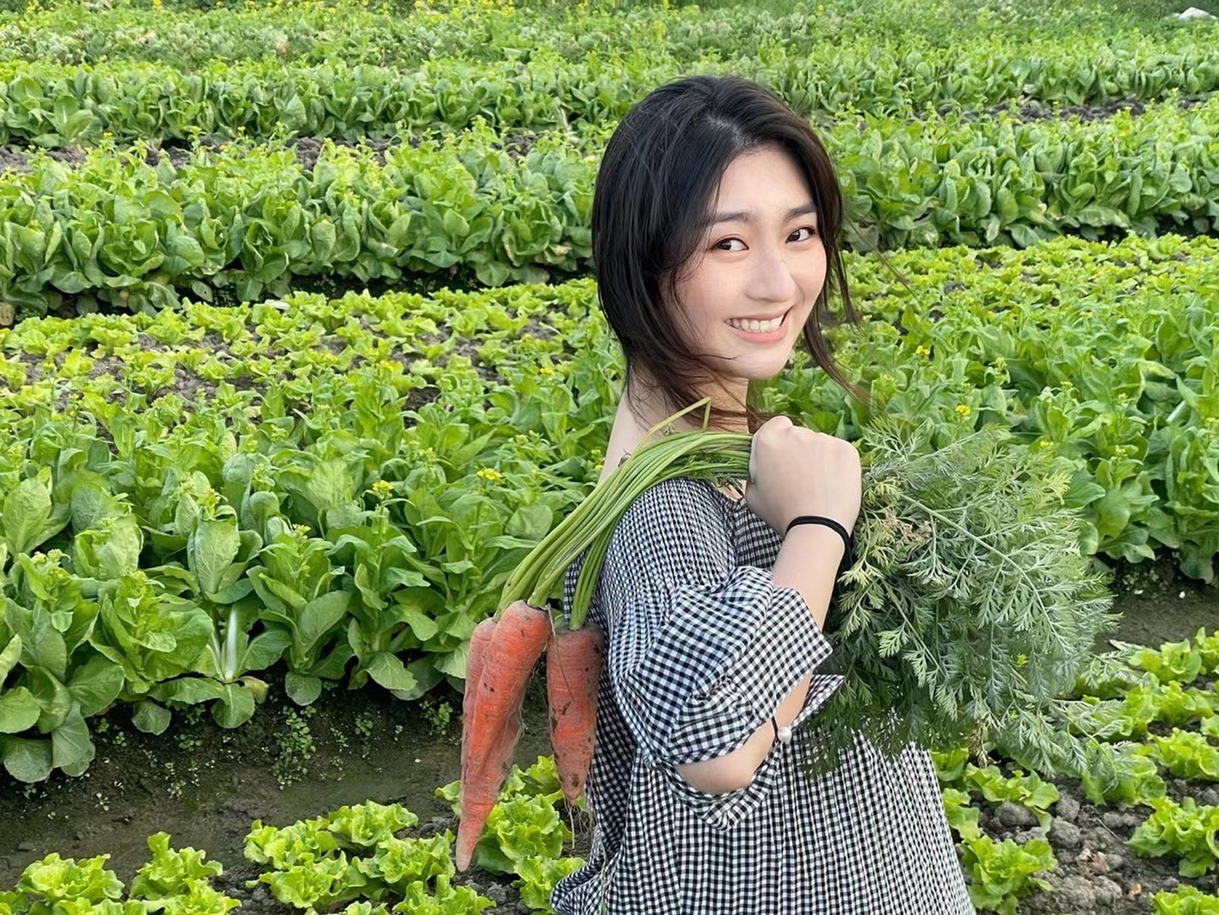 拔萝卜的农家姑娘