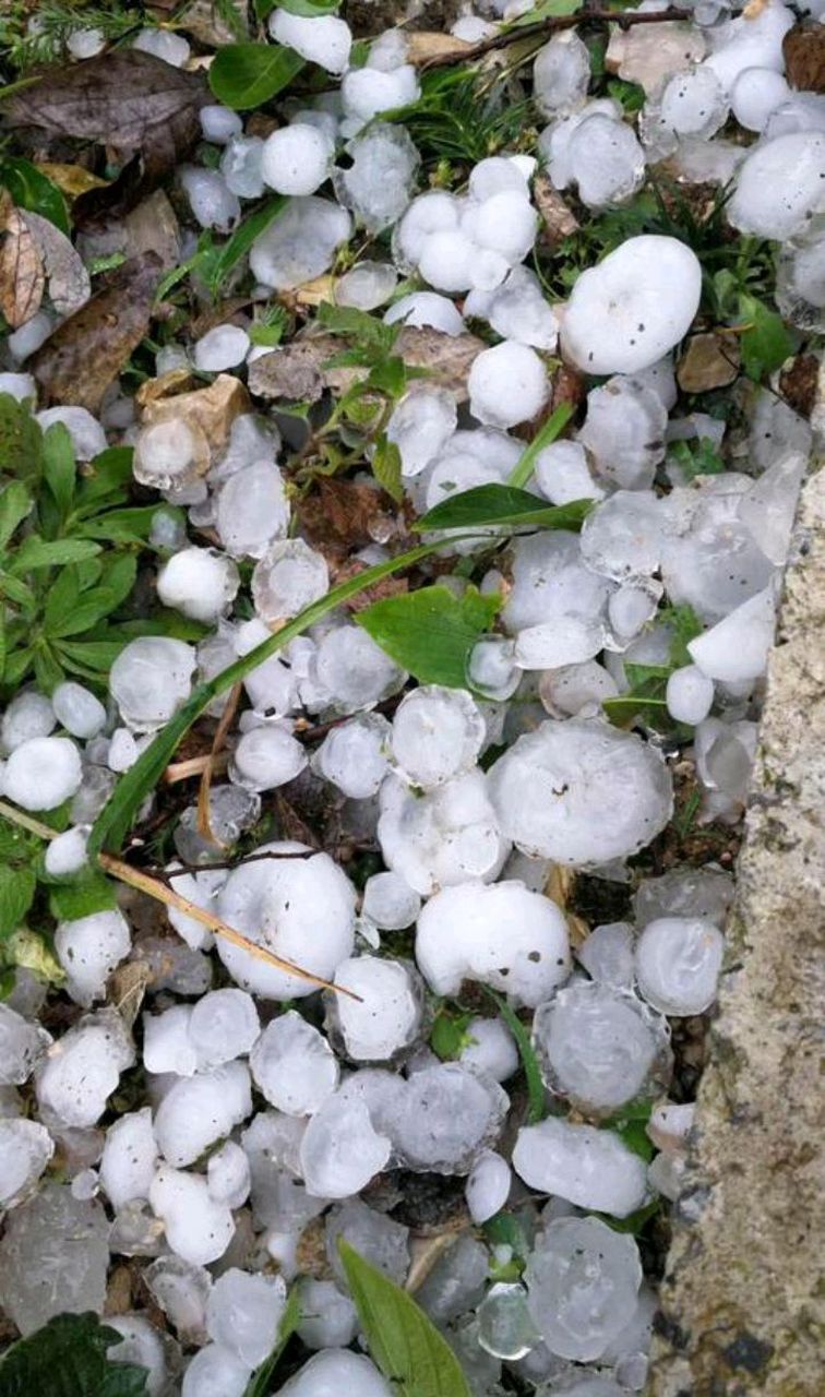 "贵州遵义遇暴雨冰雹,街上冰雹流成河".