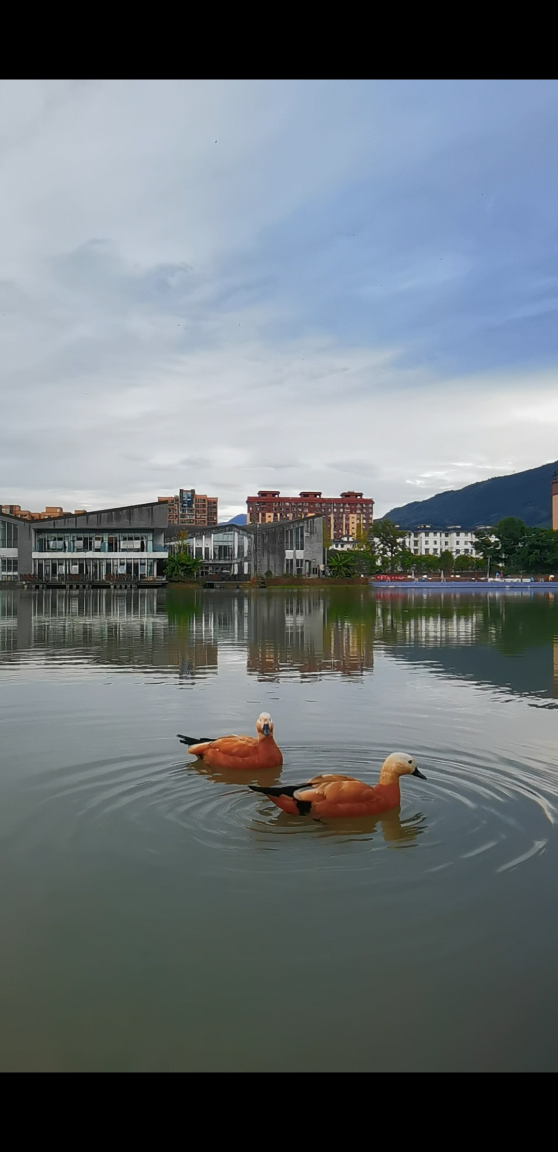 天全湿地公园图片