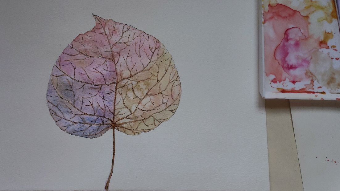 零基础水彩手绘练习/画一片彩色的树叶~