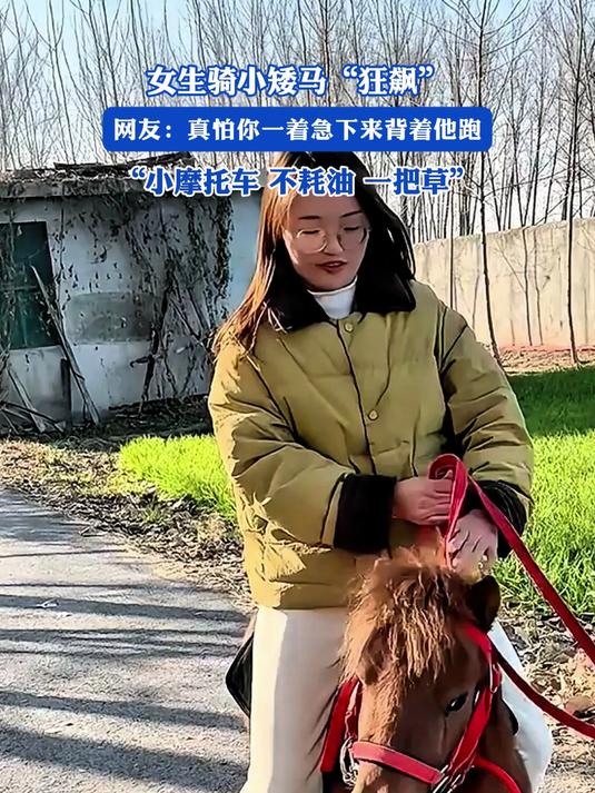 肥,婆骑矮马图片