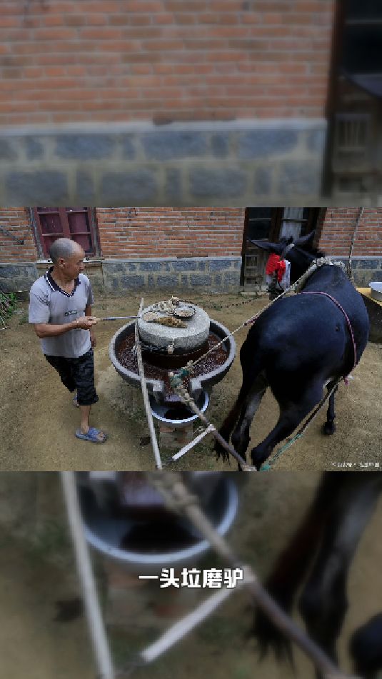 毛驴拉磨背景图片图片