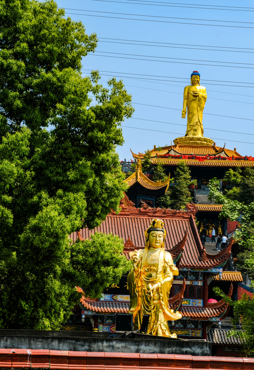 趁着春风,一起打卡成都新津花源的白云寺.