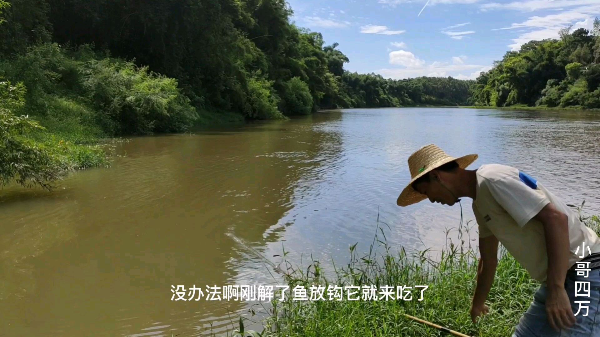 这个河里鱼太多了,第一次见这么猛的鱼口,小伙都忙不过来
