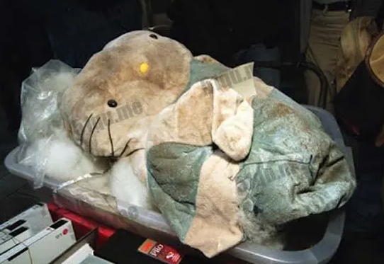 故事:香港hellokitty藏尸案,23岁女子被折磨致死,哭声持续一小时