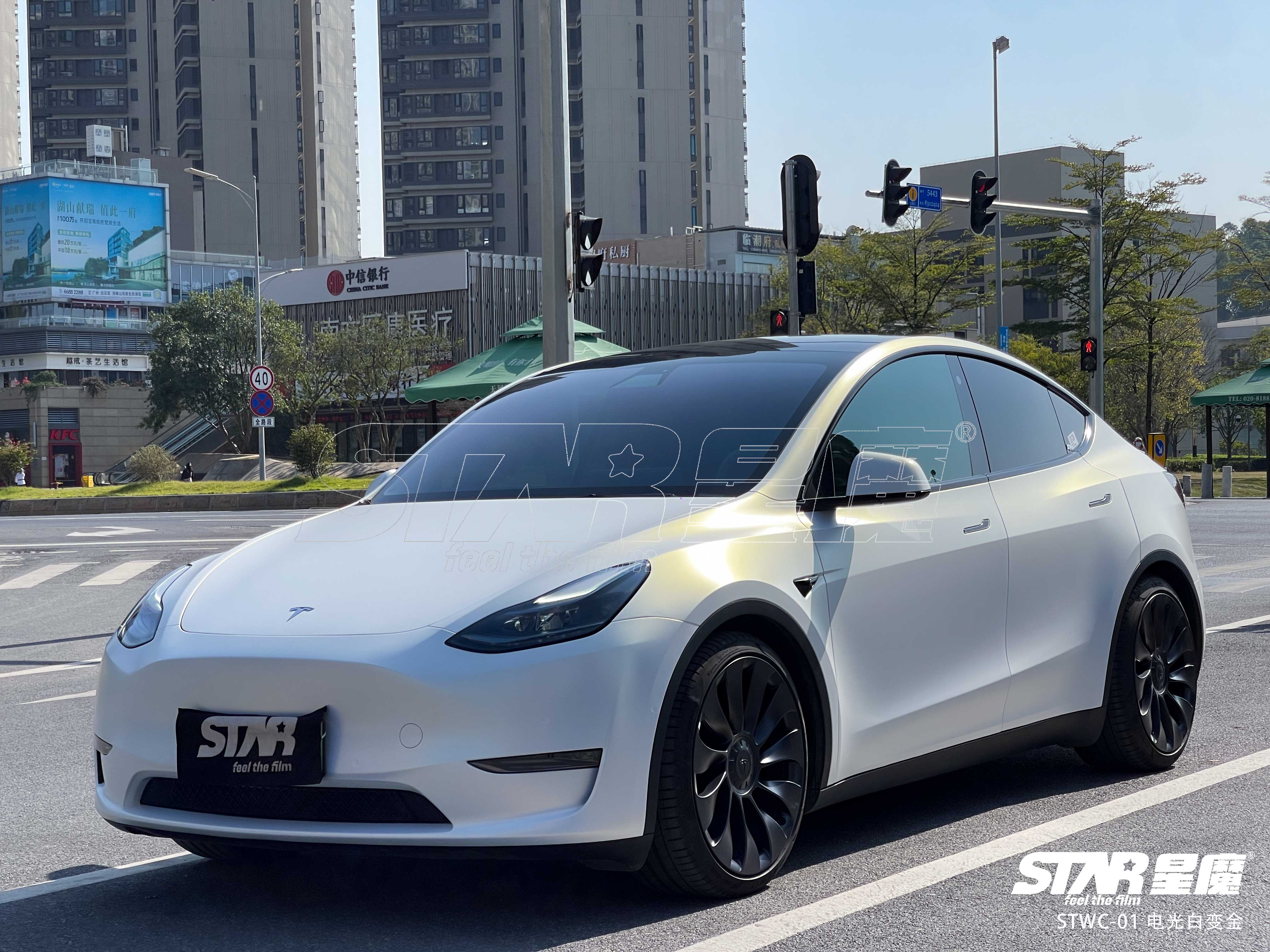 model y 电光白变金