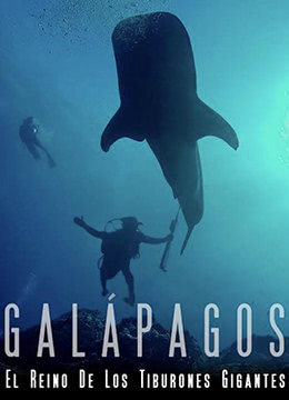加拉帕戈斯群岛：巨大鲨鱼王国彩