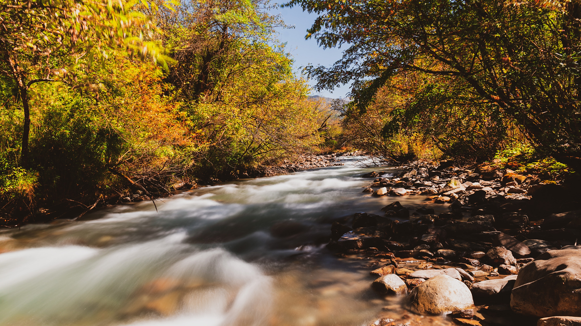 青衣江源头风景图一青衣江,长江支流岷江支流大渡河支流,主源为宝兴河