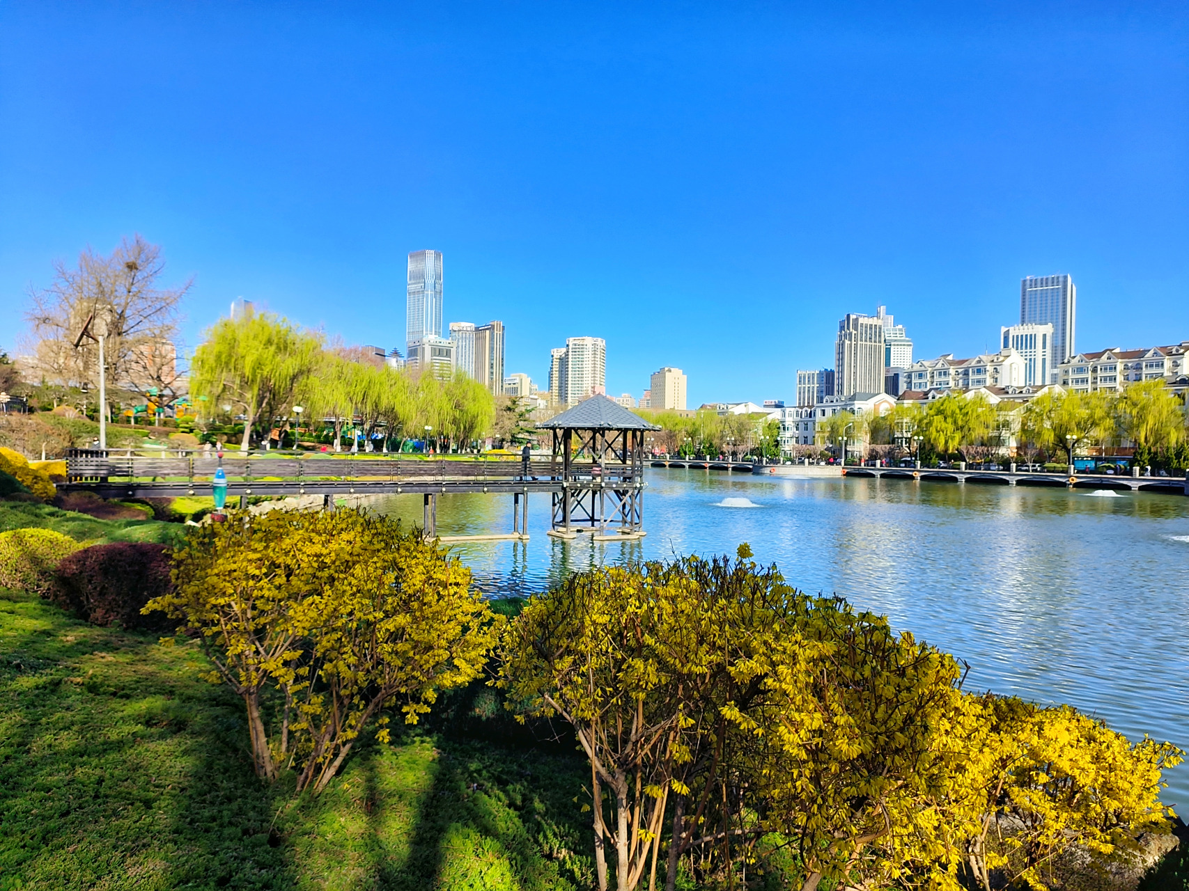 大连儿童公园的春天,明泽湖水波荡漾,阳光明媚,春意盎然,景色太美了