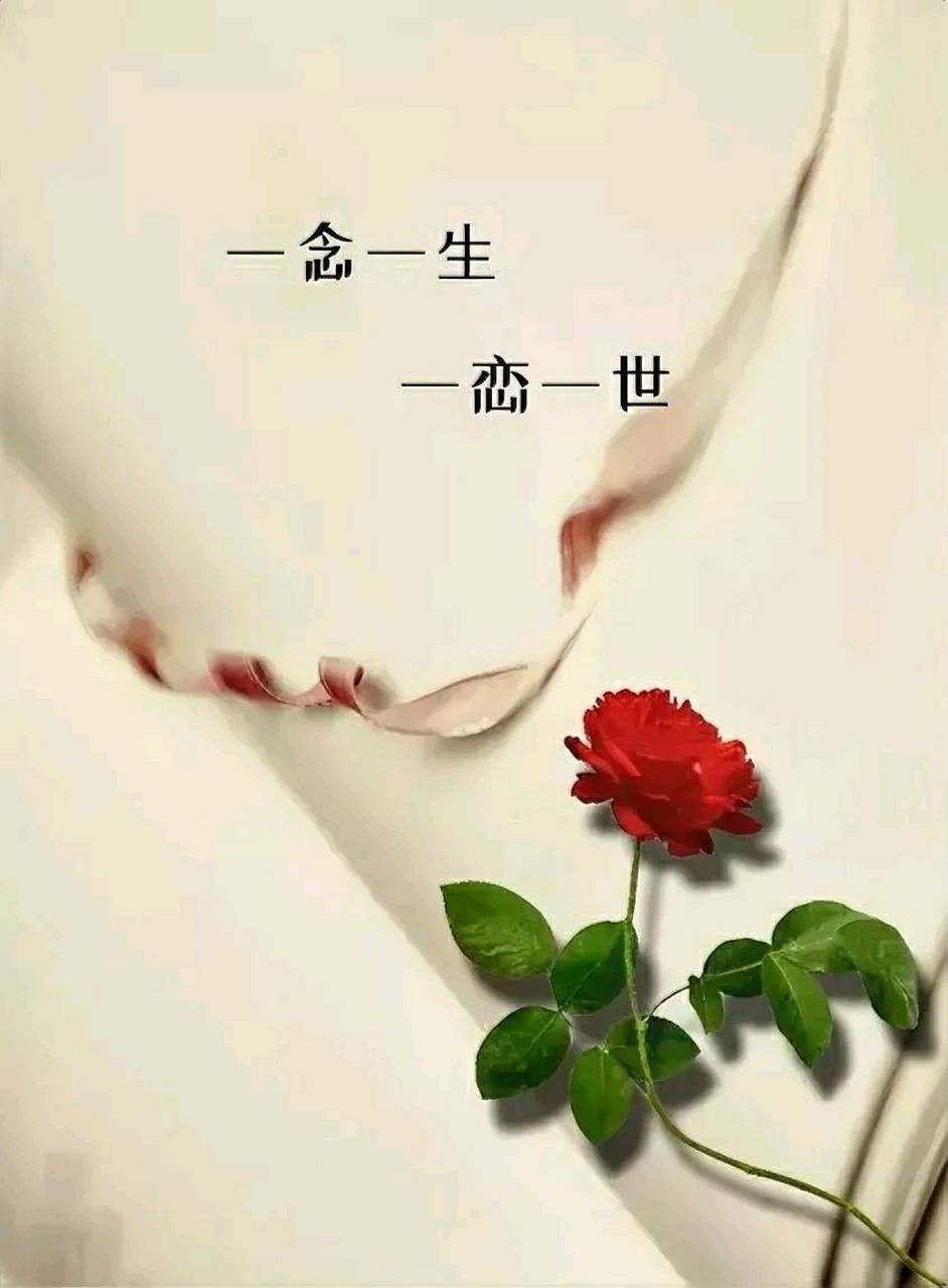 一句话, 打动人心, 俘获爱情: 是什么样的文字, 我不知, 只是当我点开