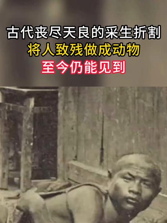 古代丧尽天良的采生折割,将人致残做成动物,至今仍能见到