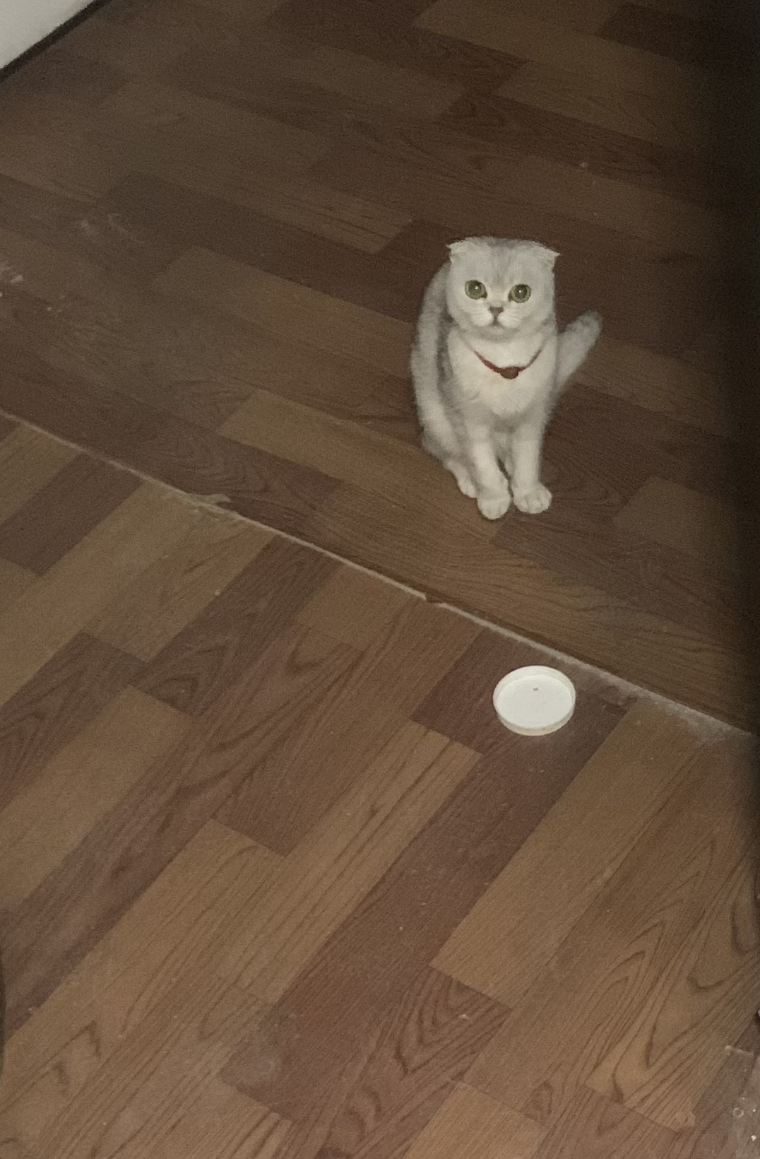 在课堂上把屎拉裤裆里了