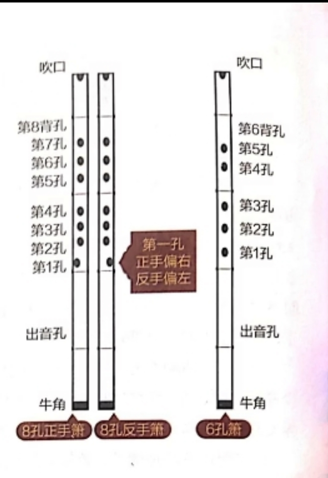 中音竖笛八孔指法图解图片