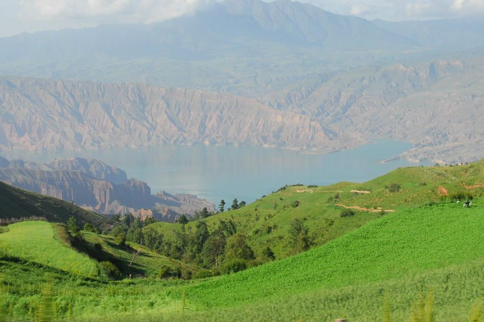 阜新一处沙漠奇景,滚滚黄沙中的绿洲,位于彰武县内