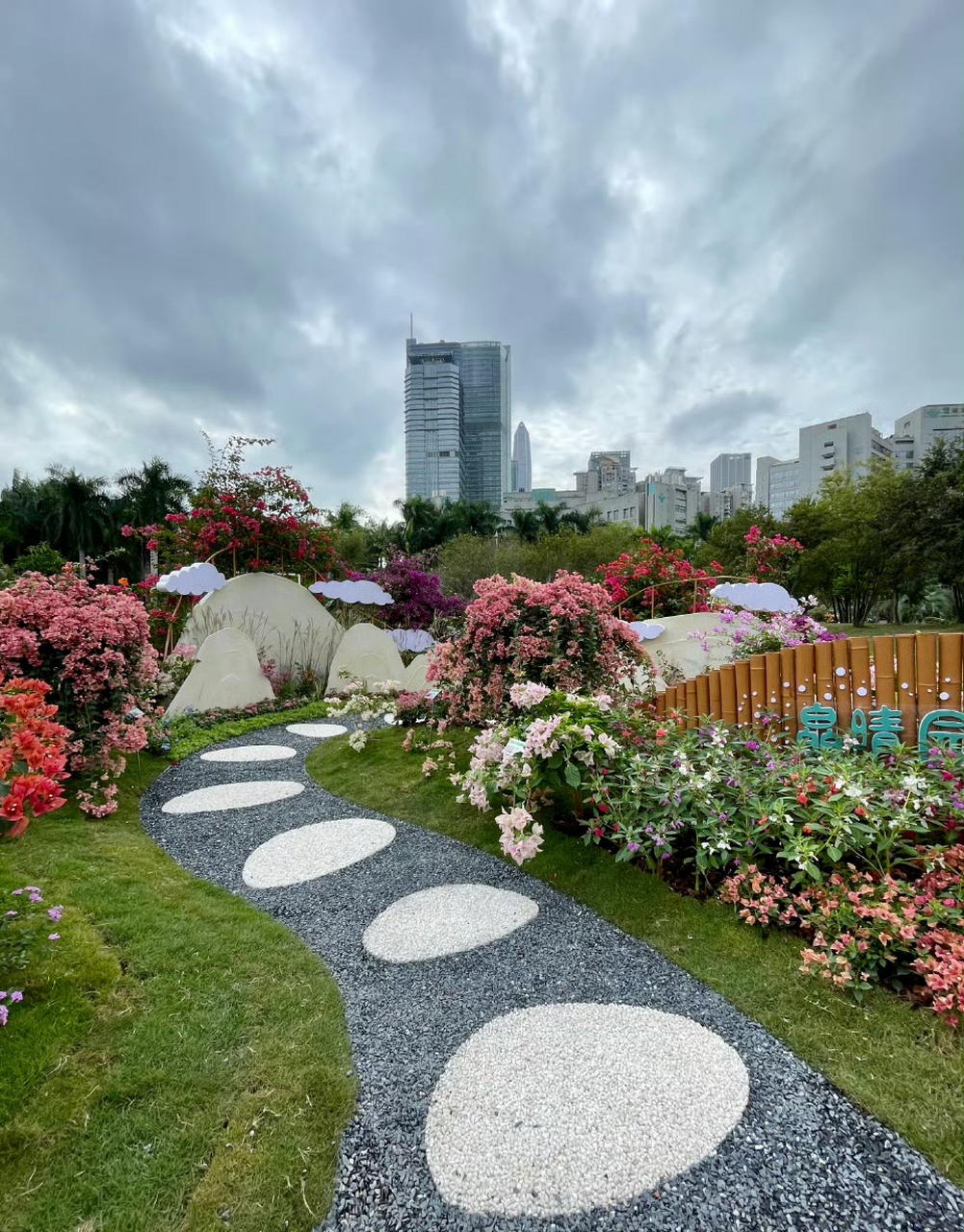 簕杜鹃花是深圳市花,花展也是全国历史最悠久的,持续25年,规模也是最