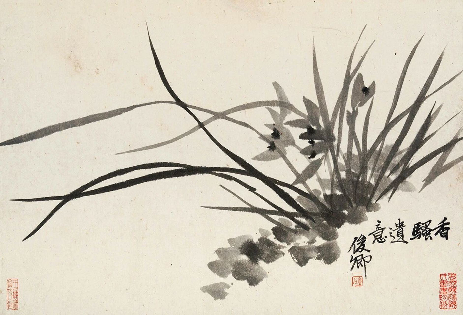 吴昌硕兰花画法在兰叶的中间部分则往往强调螳螂肚,阔笔侧锋,以见婀娜