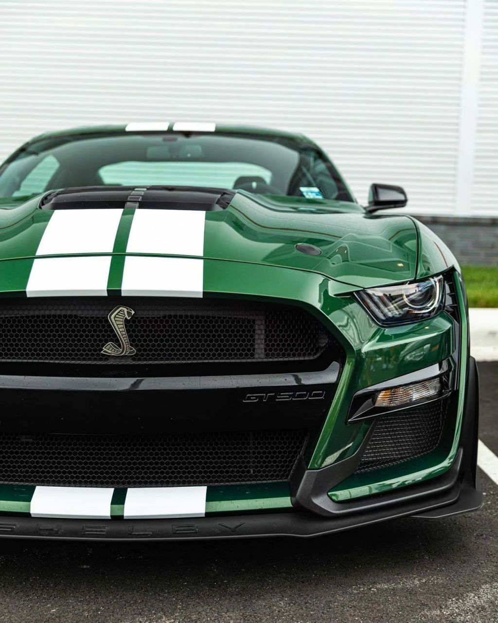 经典美式大马力肌肉车 福特mustang shelby gt500