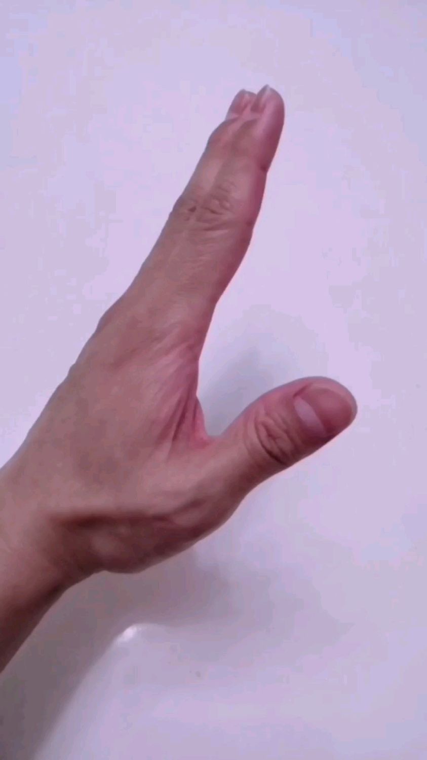 太极拳勾手手型动作示范