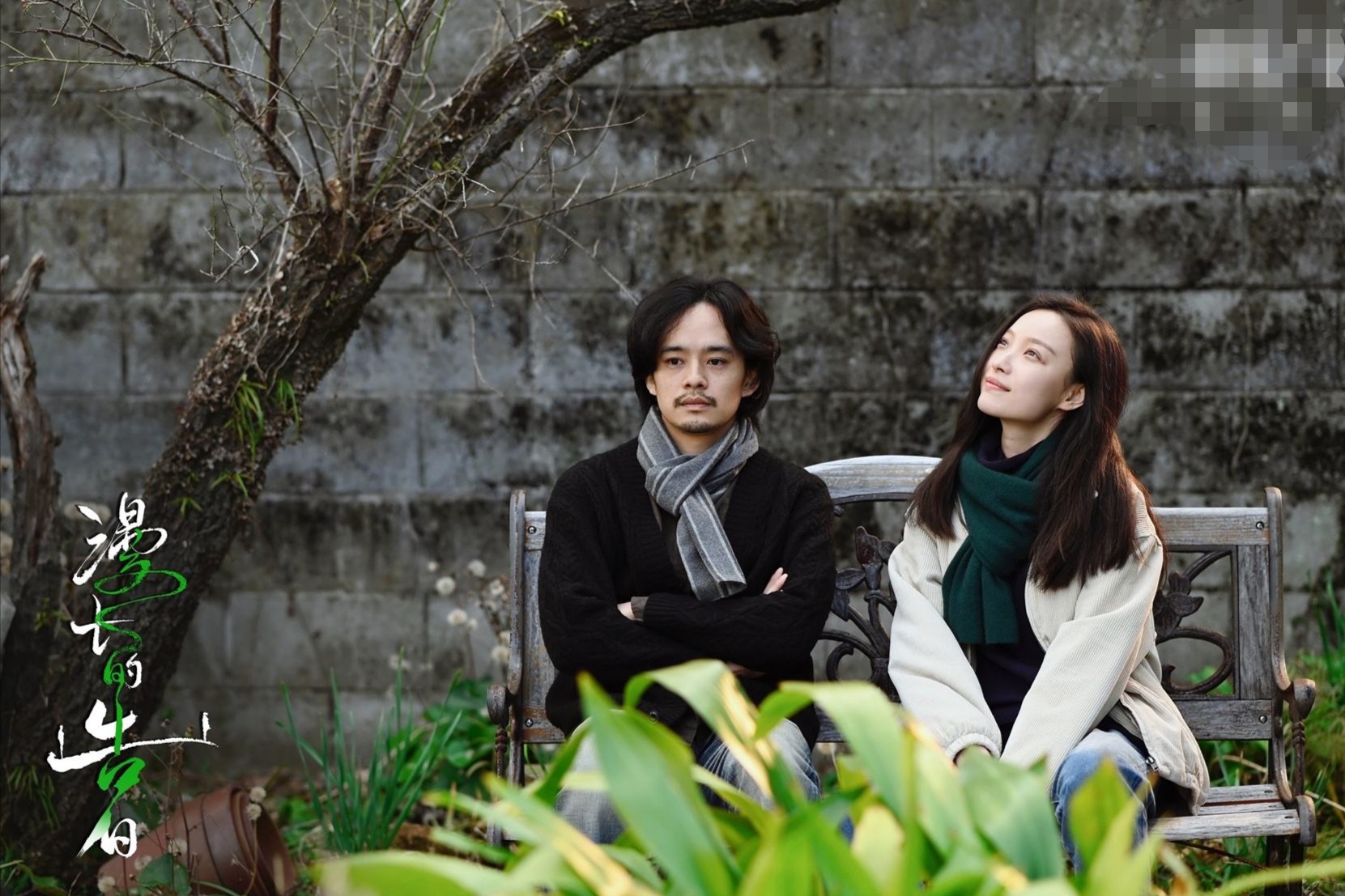 《漫长的告白》:张鲁一,倪妮,辛柏青,一声告白都没有的电影