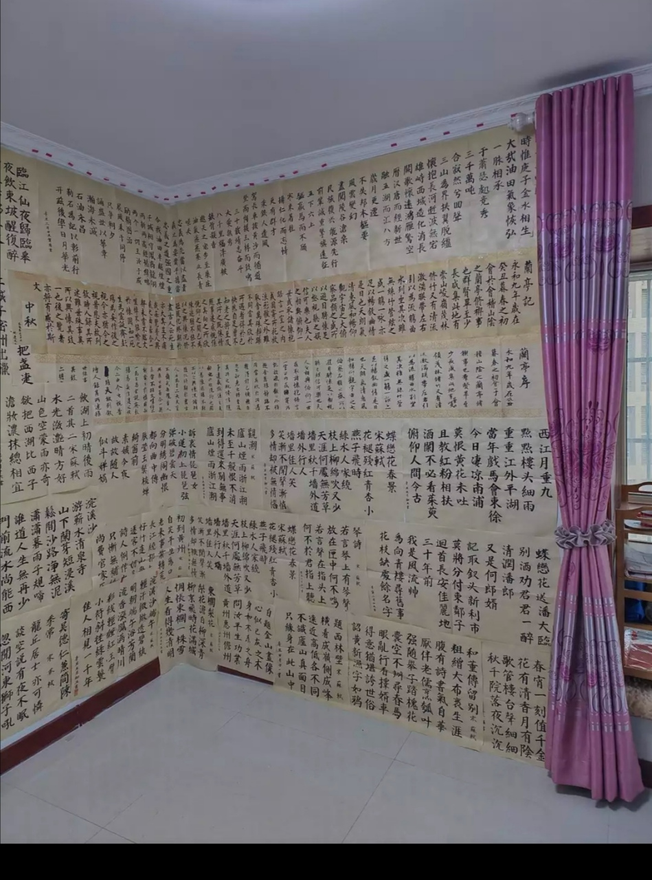 没想到我的练字抄稿被我妈拿来贴墙,也算是一种废物利用吧!