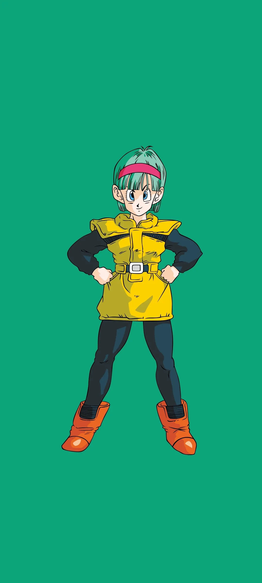 龙珠手机壁纸专辑