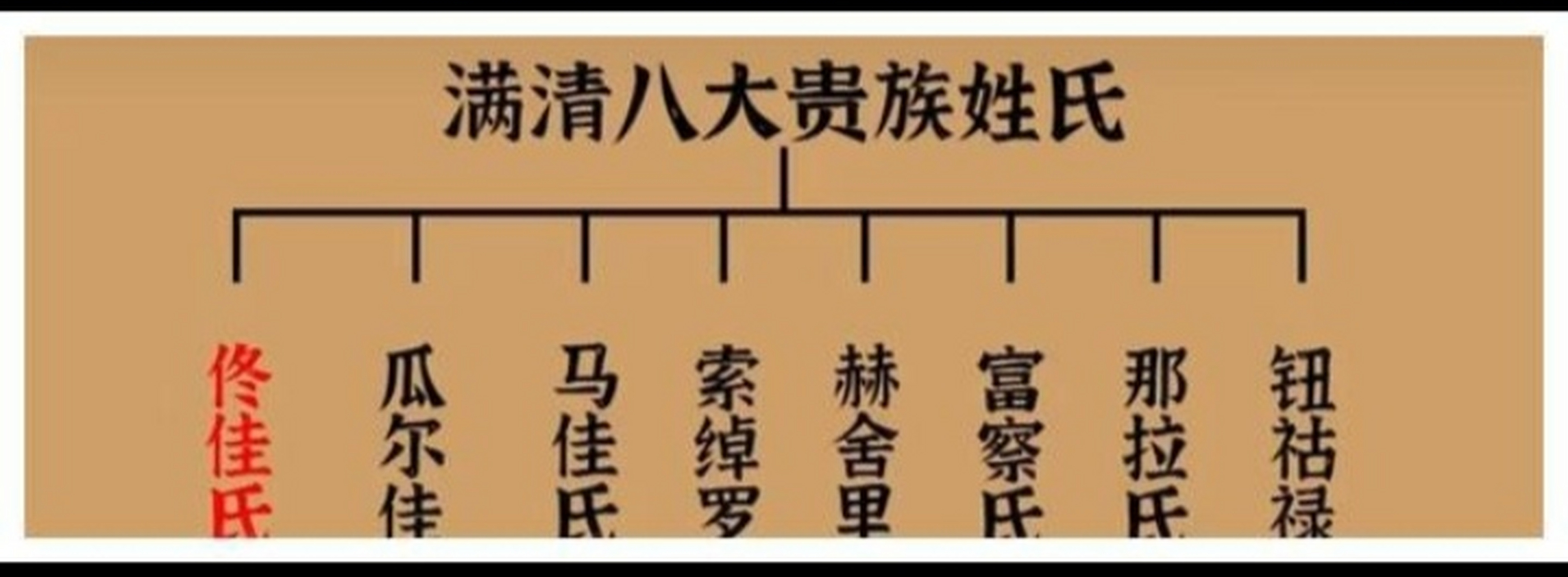 一,爱新觉罗氏,改姓金,还有改姓启的,著名书法家启功大师就是雍正的