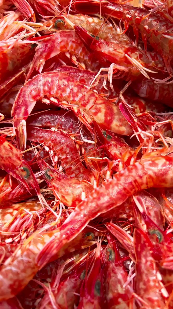 野生樱花虾深海虾补钙应季海虾可刺身白灼|东山岛海鲜-度小视