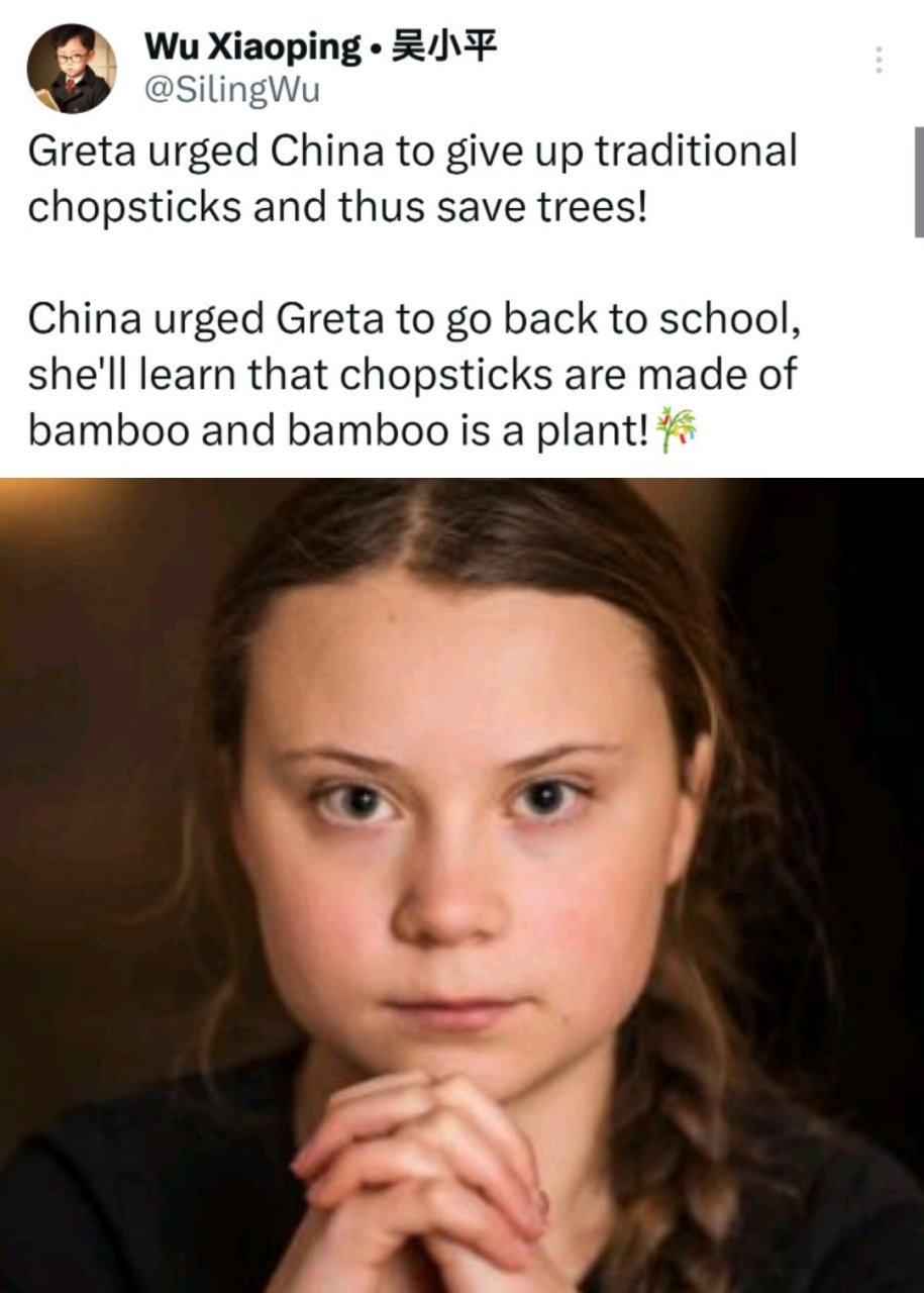 环保少女奉劝中国人放弃使用筷子以保护树木,大家也别
