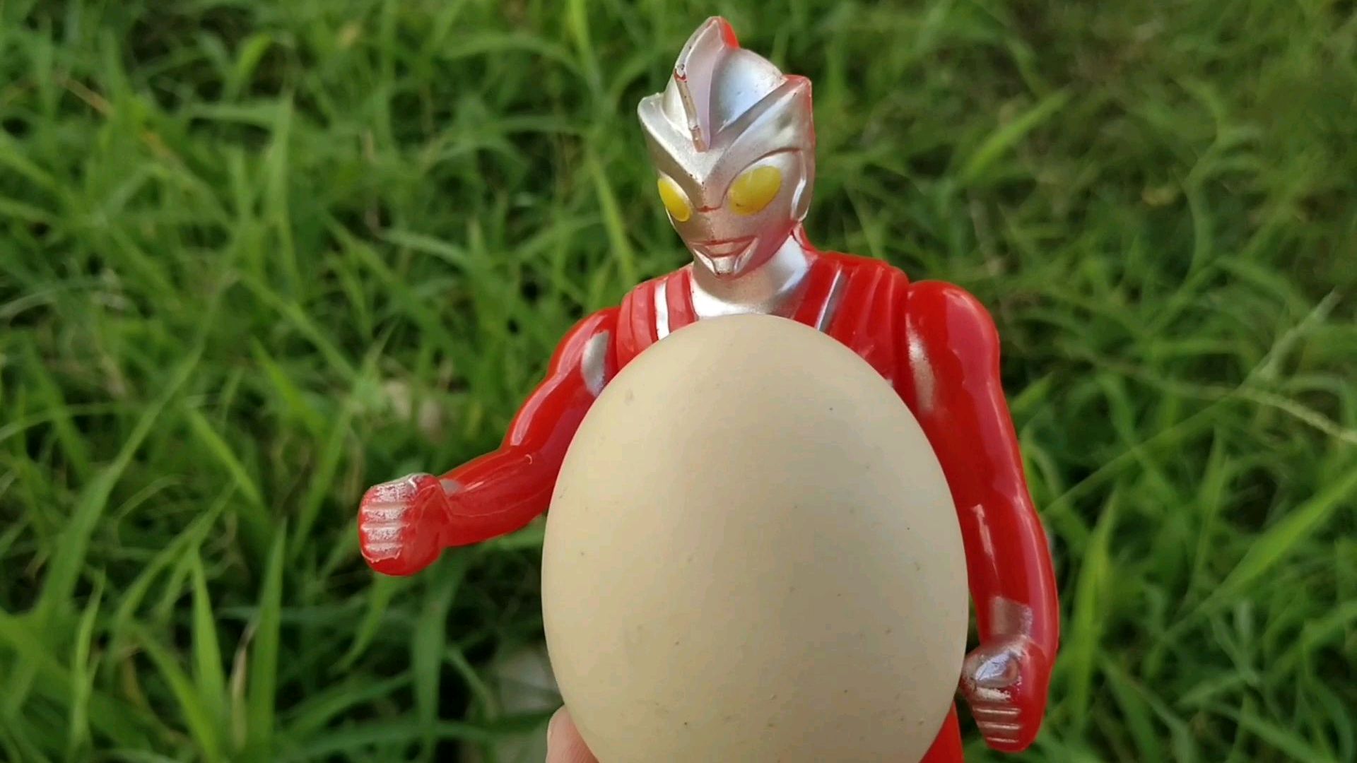 奥特曼到公园玩,发现了好多鸡蛋,准备带回去给伙伴们吃