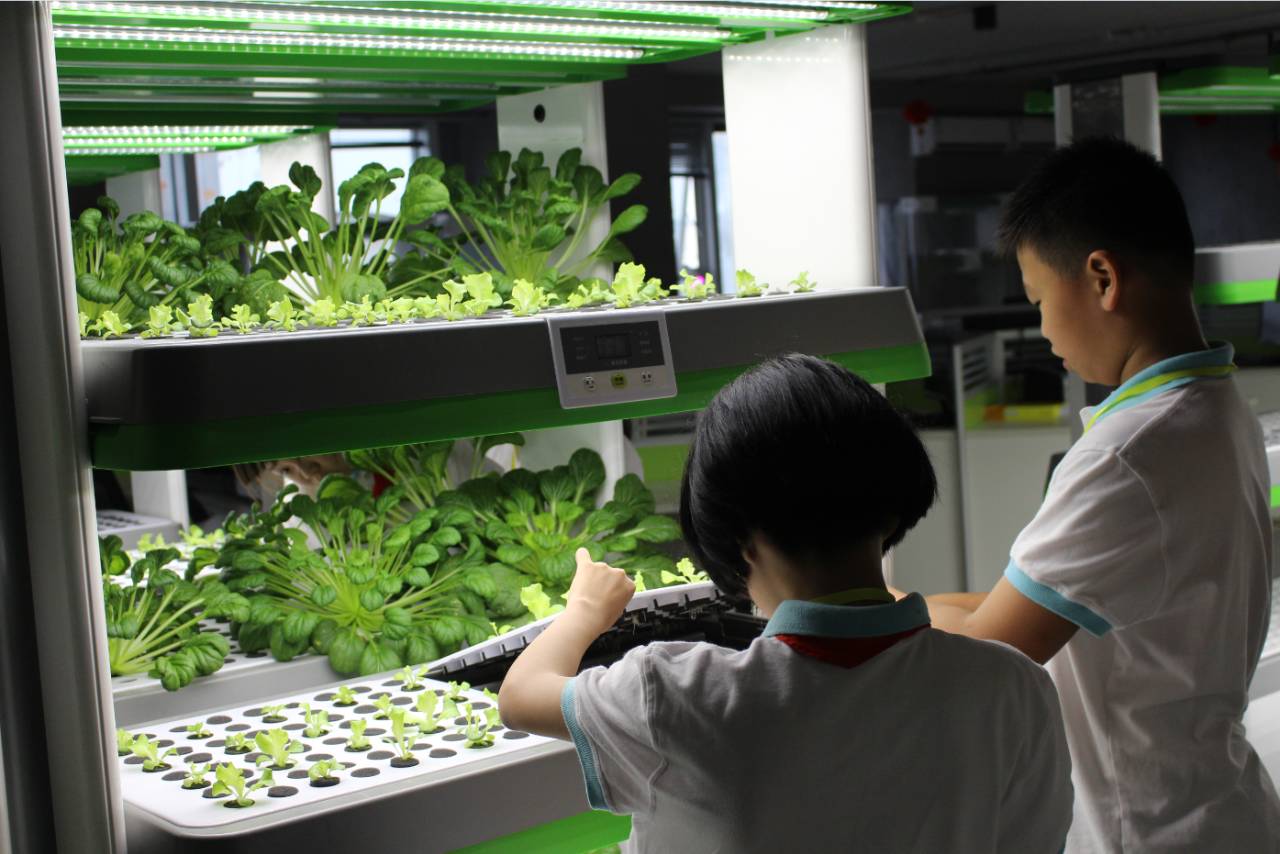 ai绿色新科技:家用无土栽培家庭智能种菜机